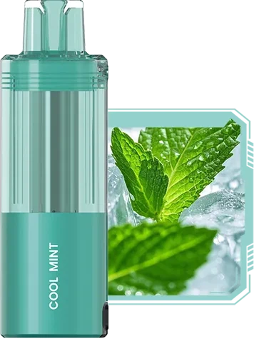 CM VAPE,Crystal Mary,Strawberry Ice